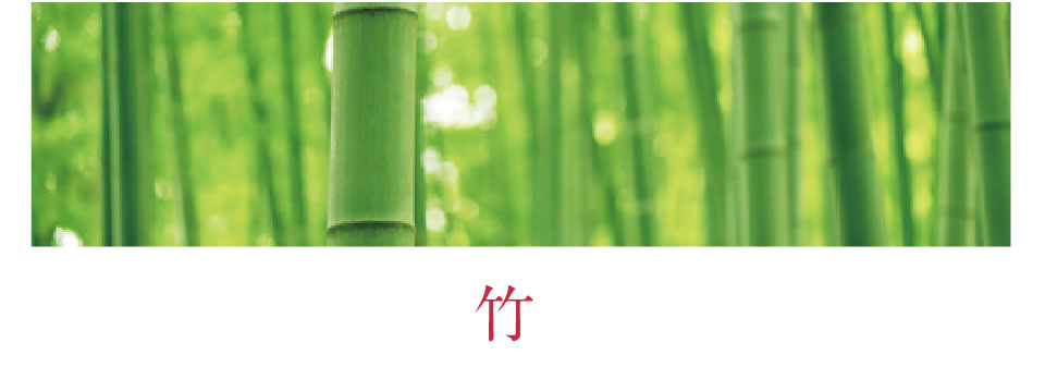 竹